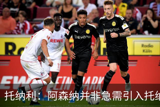 托纳利：阿森纳并非急需引入托纳利，不应花1亿英镑买他